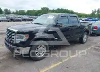 2014 Ford F-150 photo
