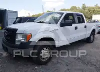 2014 Ford F-150 photo