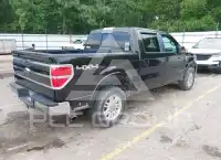 2014 Ford F-150 photo