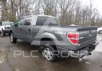 2014 Ford F-150 фото