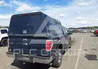 2014 Ford F-150 фото