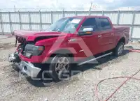 2014 Ford F-150 photo