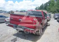 2014 Ford F-150 photo