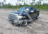 2014 Ford F-150 фото