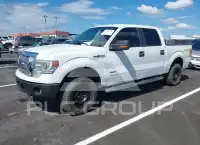2014 Ford F-150 фото