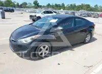 2014 Hyundai Elantra photo