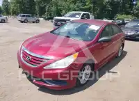 2014 Hyundai Sonata photo