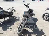 2015 Harley-Davidson FXDL photo