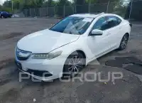 2015 Acura TLX фото