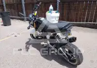 2015 Honda GROM photo