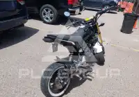 2015 Honda GROM photo