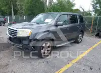 2015 Honda PILOT photo