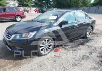 2015 Honda Accord фото