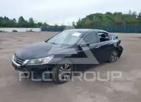 2015 Honda Accord фото