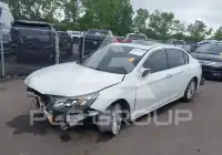2015 Honda Accord photo