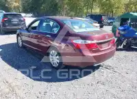 2015 Honda Accord photo