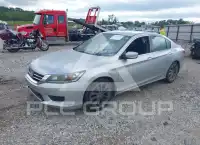 2015 Honda Accord photo