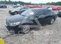 2015 Honda Accord фото