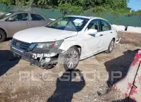 2015 Honda Accord photo