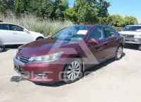 2015 Honda Accord photo