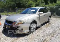 2015 Honda Accord photo