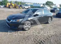 2015 Honda Accord фото