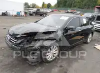 2015 Honda Accord фото
