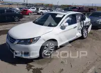 2015 Honda Accord photo