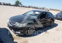 2015 Honda Accord photo