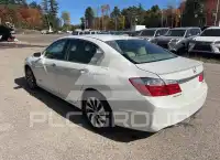 2015 Honda Accord photo