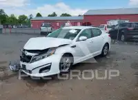 2015 KIA Optima фото