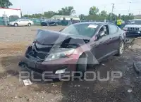 2015 KIA Optima фото