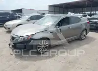 2015 KIA Optima фото