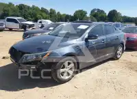 2015 KIA Optima фото