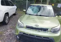 2015 KIA Soul фото