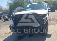 2015 Ford F-250 photo