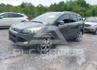 2015 Ford ESCAPE photo