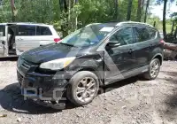 2015 Ford ESCAPE photo