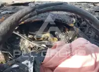 2015 Ford ESCAPE фото