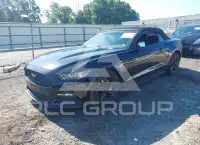 2015 Ford MUSTANG фото