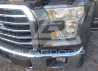 2015 Ford F-150 фото