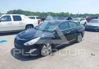 2015 Hyundai Sonata фото