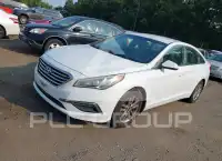 2015 Hyundai Sonata фото