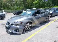 2016 Nissan MAXIMA photo