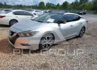 2016 Nissan MAXIMA photo