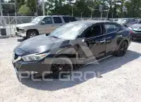 2016 Nissan MAXIMA photo