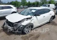 2016 Nissan MAXIMA фото