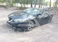 2016 Nissan MAXIMA photo
