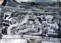 2016 Nissan Juke фото