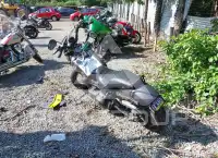 2016 Harley-Davidson FXDB фото